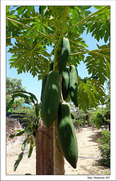 2012 - 03 - Koh Lanta 36